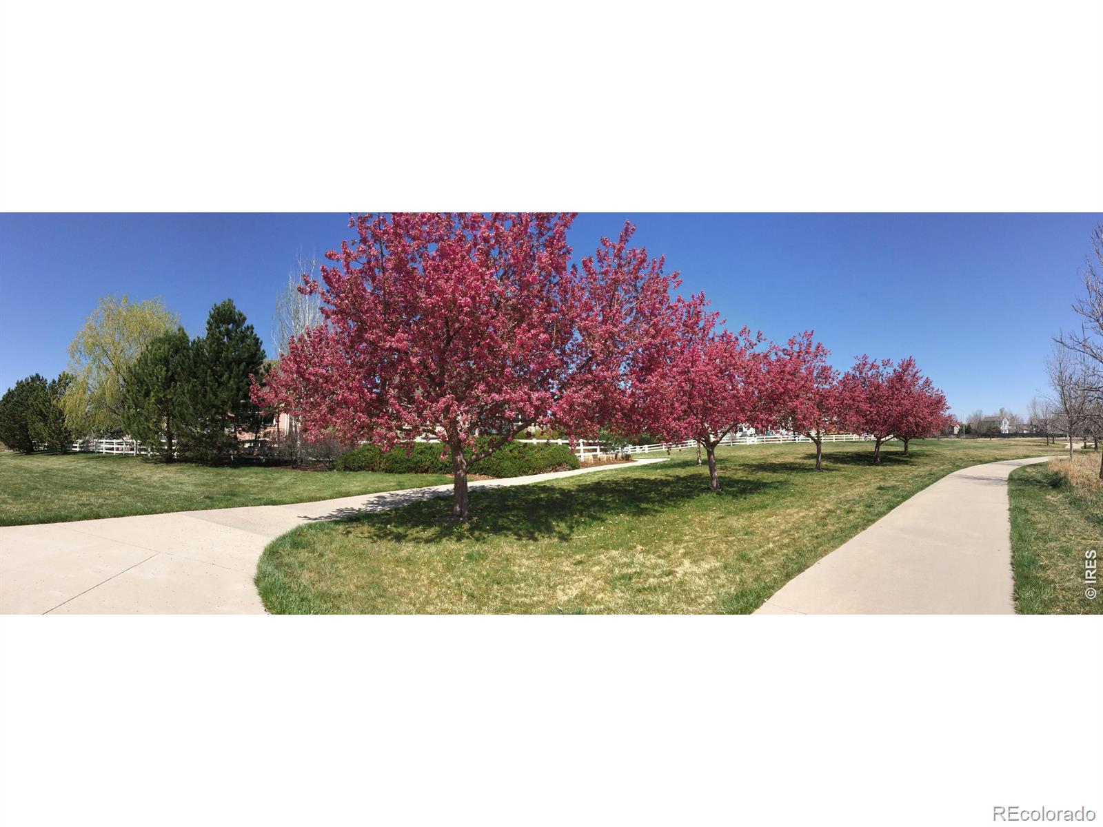 MLS Image #46 for 1920  spruce avenue,longmont, Colorado