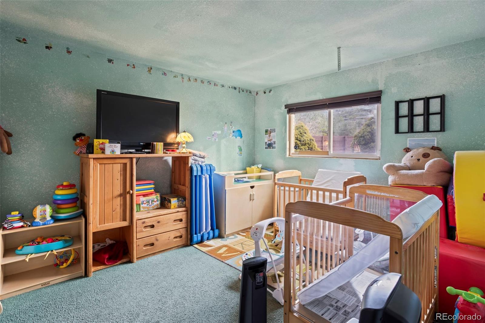 MLS Image #12 for 4502  constitution avenue,colorado springs, Colorado
