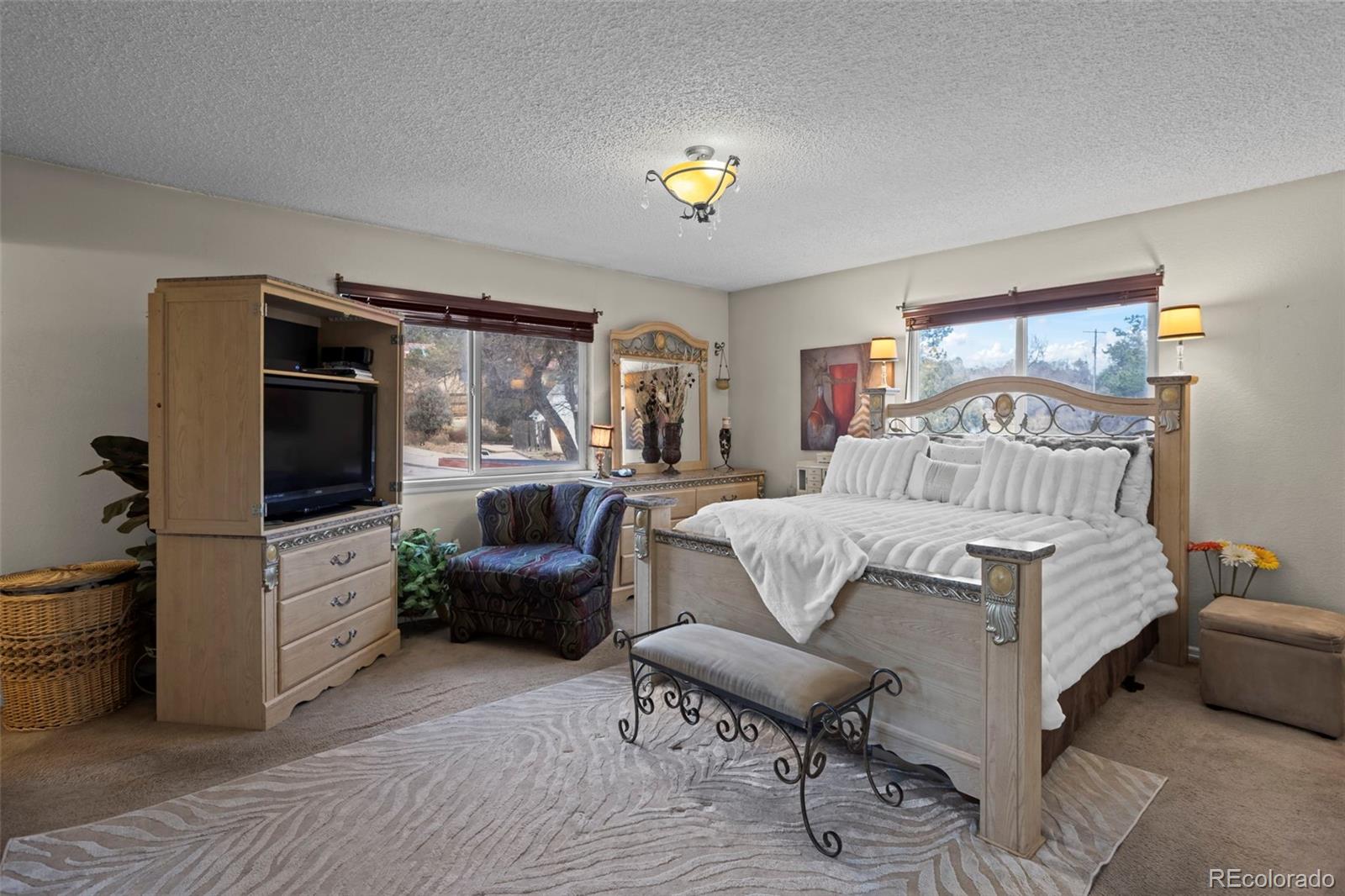 MLS Image #7 for 4502  constitution avenue,colorado springs, Colorado