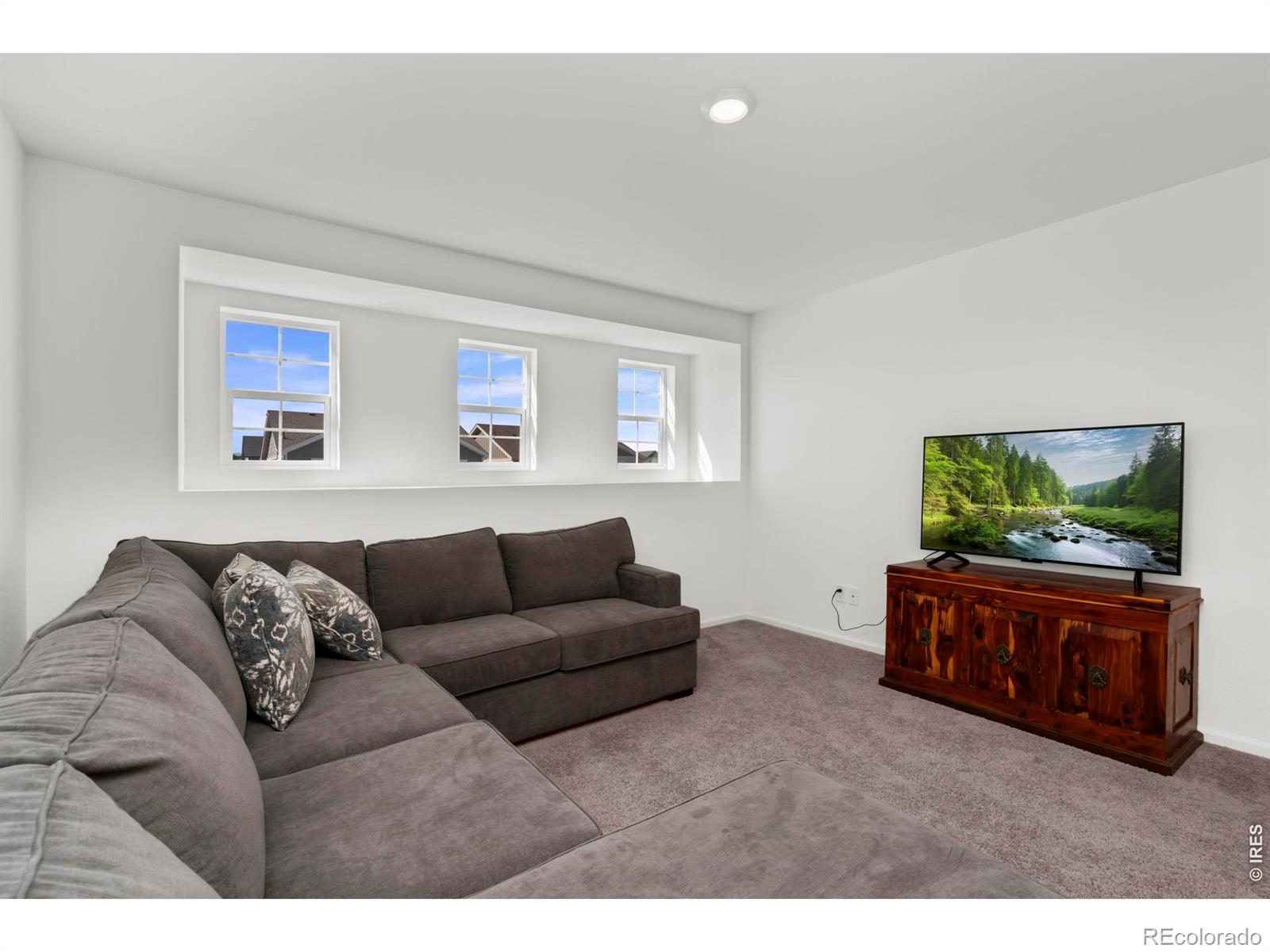 MLS Image #20 for 4179  chasm lake drive,loveland, Colorado