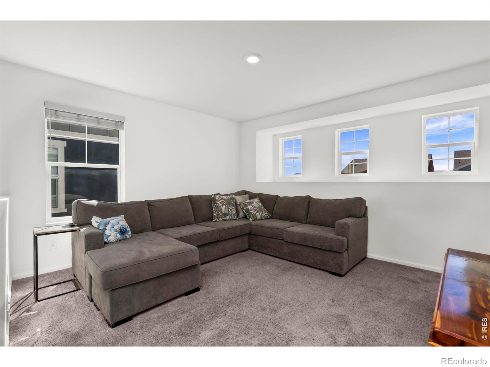 MLS Image #22 for 4179  chasm lake drive,loveland, Colorado