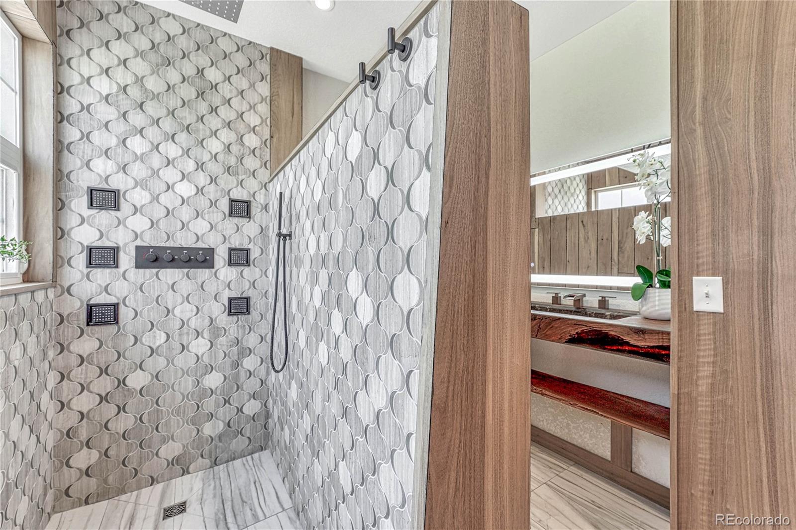 MLS Image #17 for 23174  timber spring place,parker, Colorado