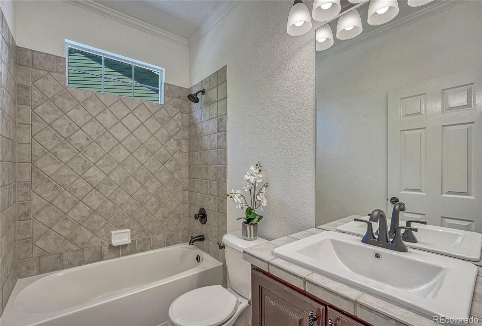 MLS Image #20 for 23174  timber spring place,parker, Colorado