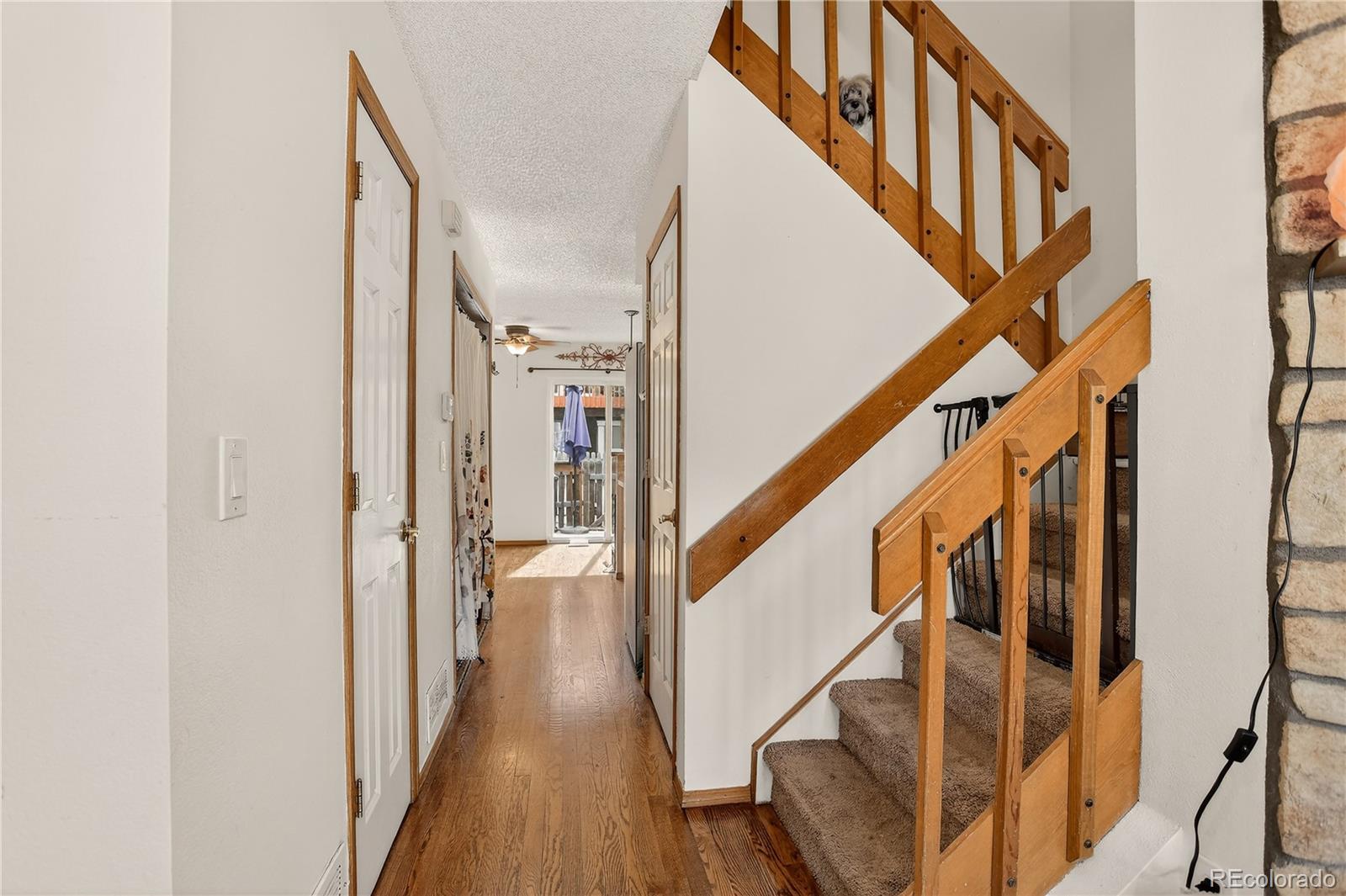 MLS Image #10 for 8258 s fillmore circle ,centennial, Colorado