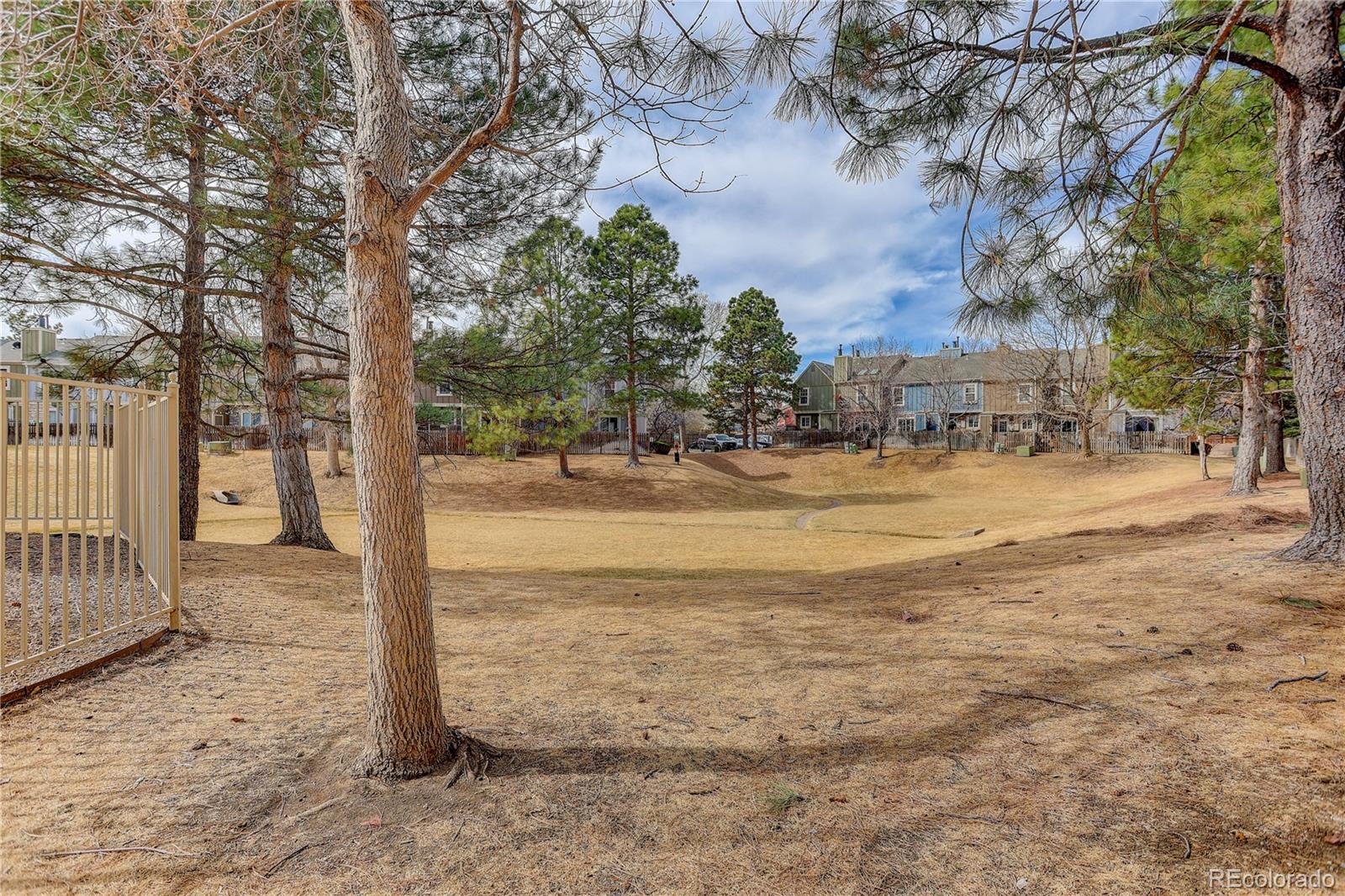MLS Image #28 for 8258 s fillmore circle ,centennial, Colorado
