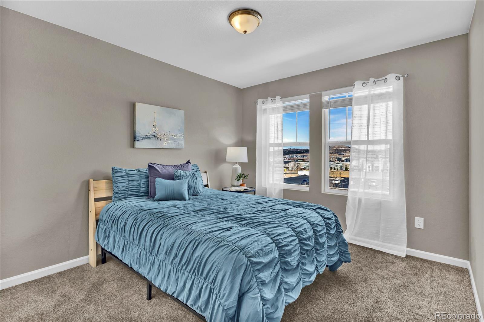 MLS Image #23 for 2910  low meadow boulevard,castle rock, Colorado