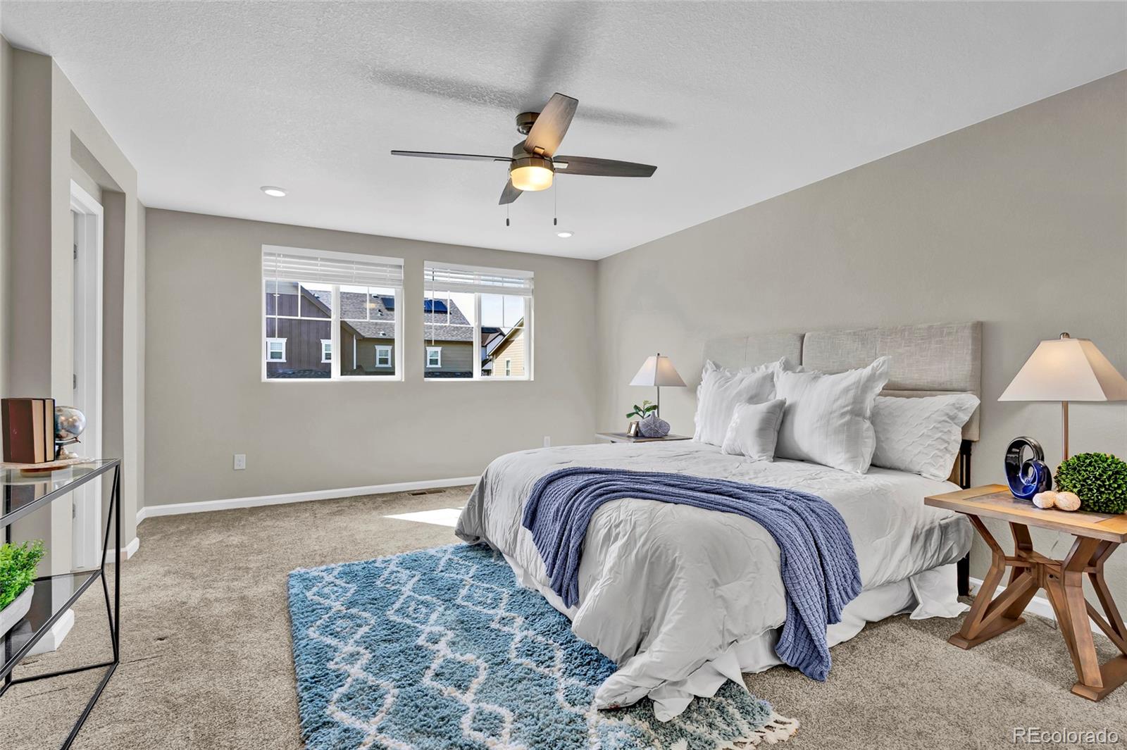 MLS Image #26 for 2910  low meadow boulevard,castle rock, Colorado