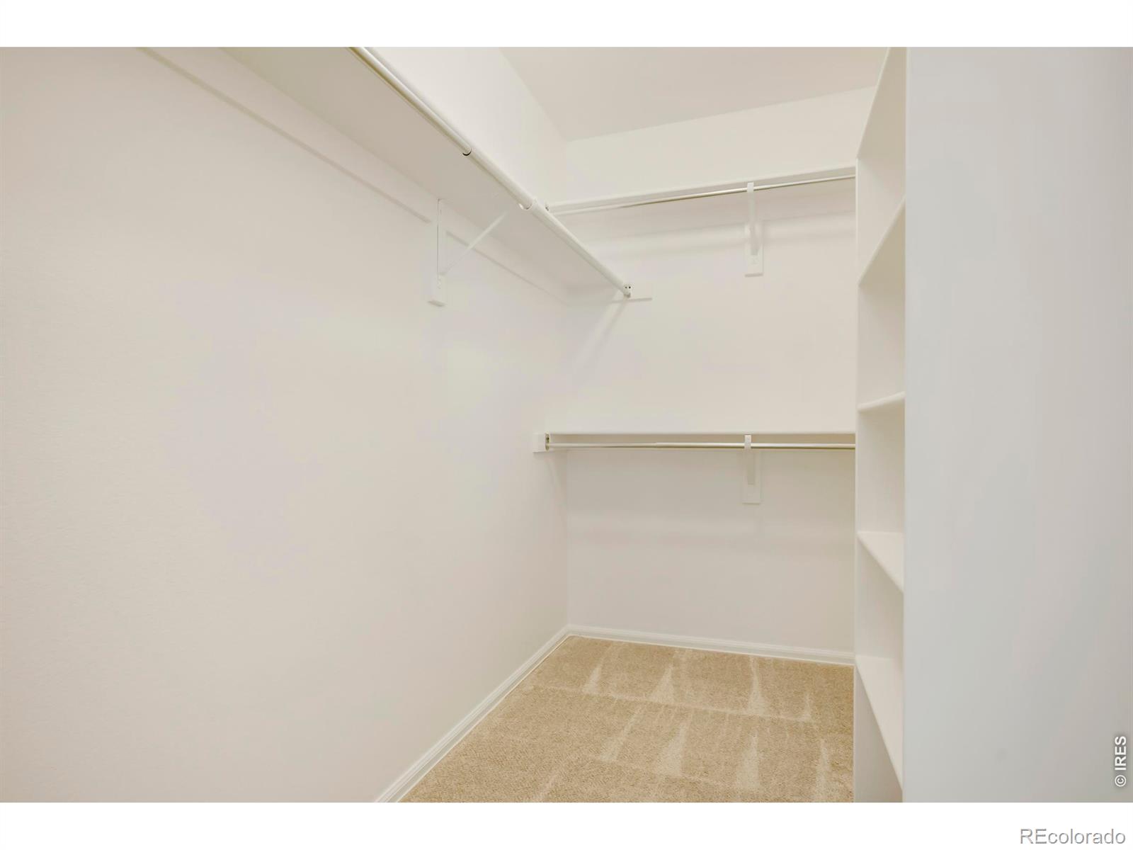 MLS Image #12 for 5600  mount sanitas avenue,longmont, Colorado