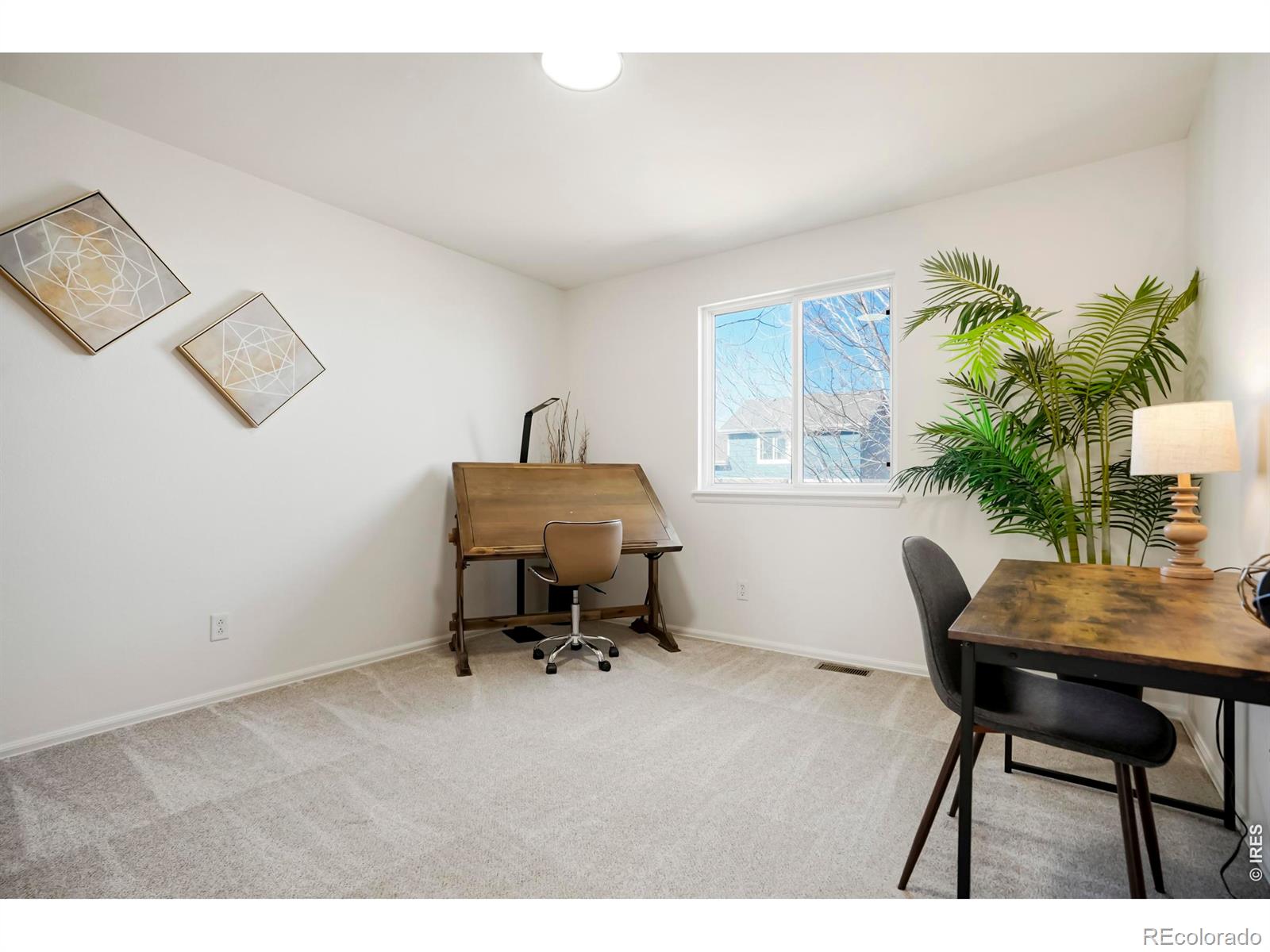 MLS Image #14 for 5600  mount sanitas avenue,longmont, Colorado