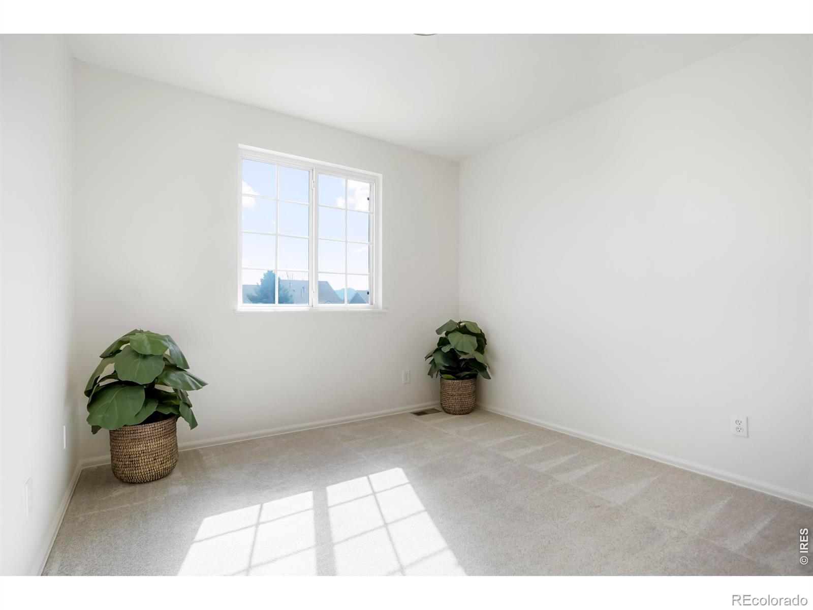 MLS Image #17 for 5600  mount sanitas avenue,longmont, Colorado
