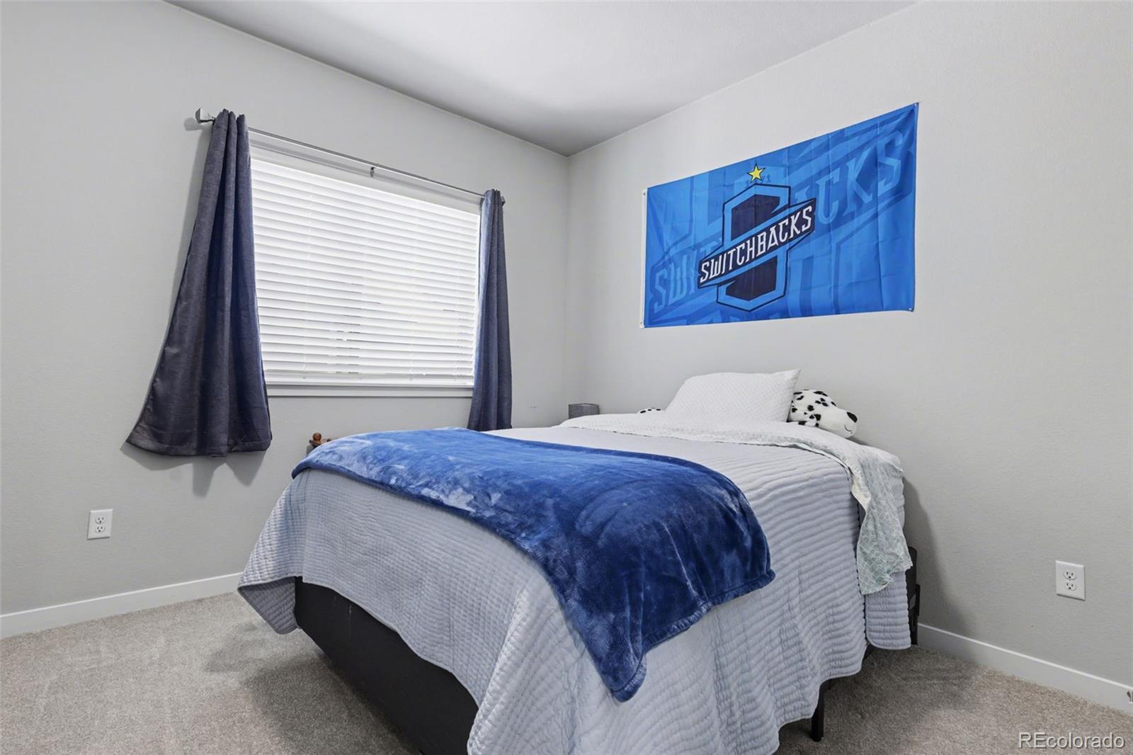 MLS Image #27 for 5356  necker heights ,colorado springs, Colorado