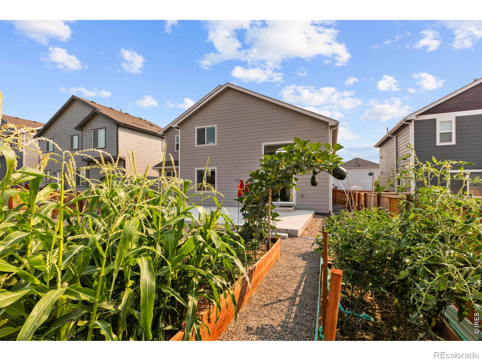 MLS Image #22 for 865  emerald lakes street,severance, Colorado
