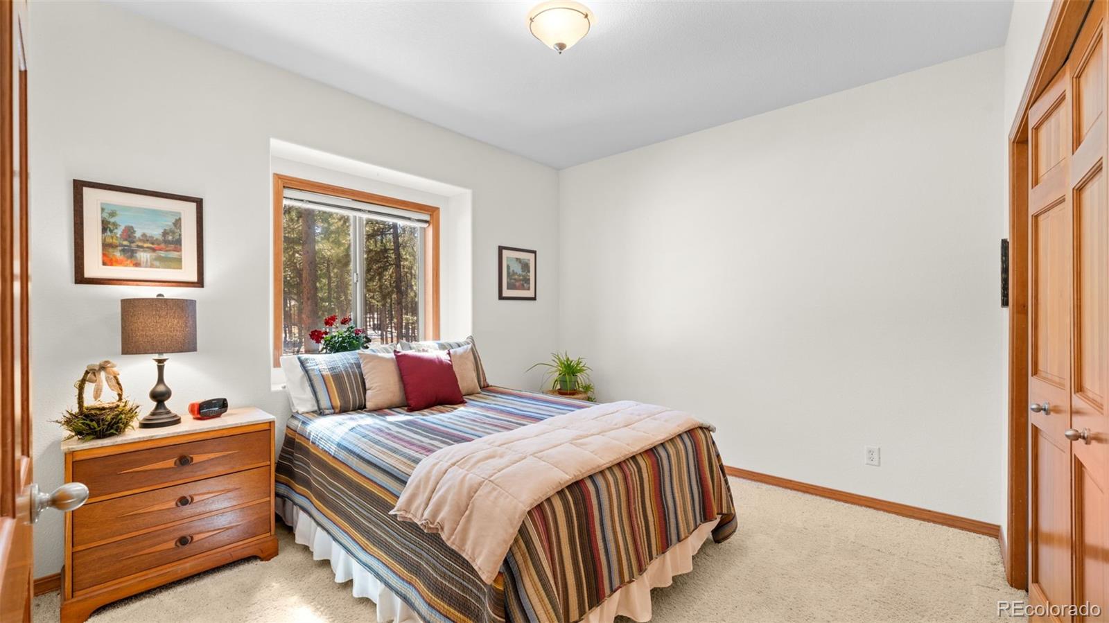MLS Image #20 for 1230  woodland valley ranch drive,woodland park, Colorado