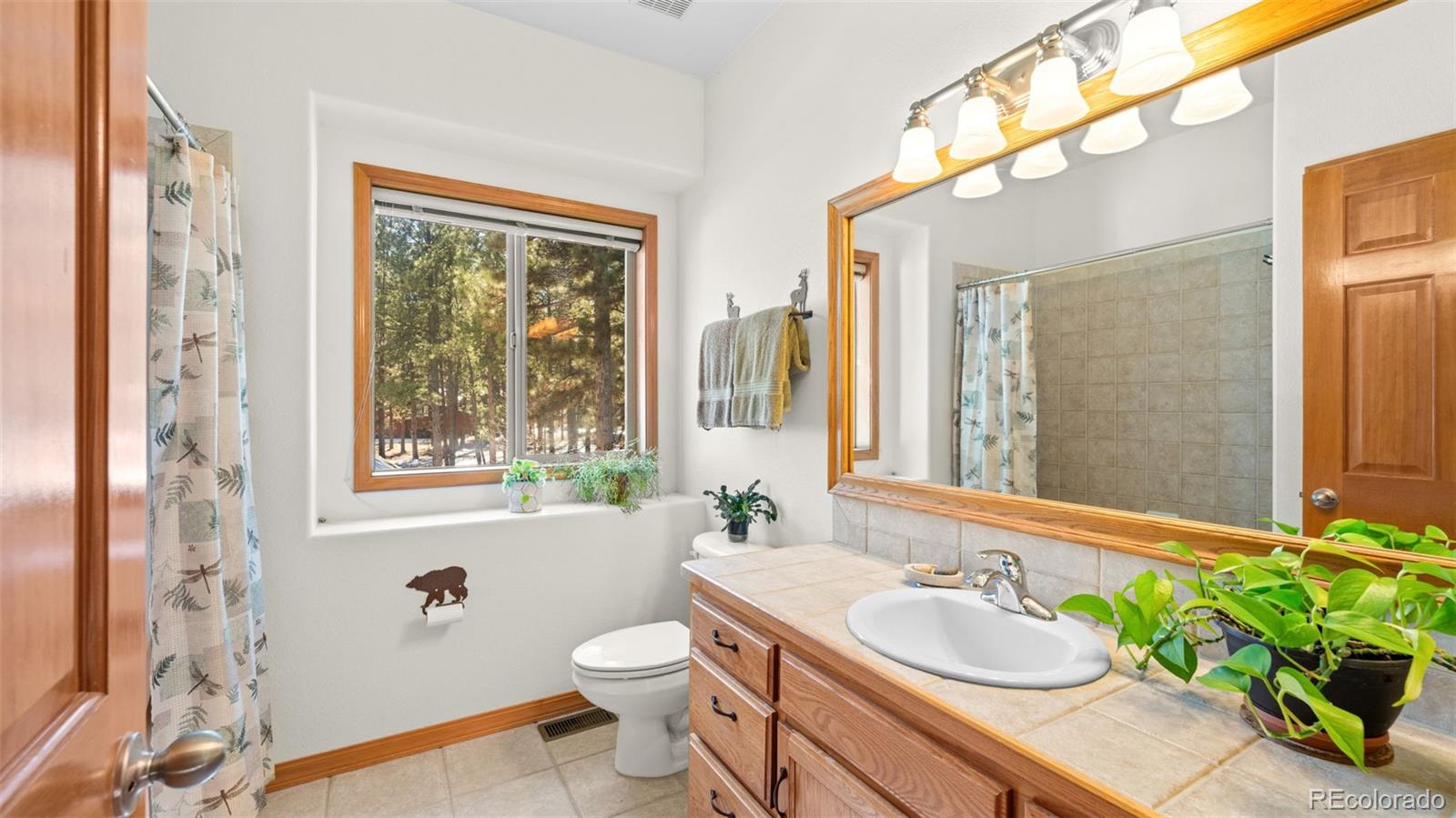 MLS Image #21 for 1230  woodland valley ranch drive,woodland park, Colorado