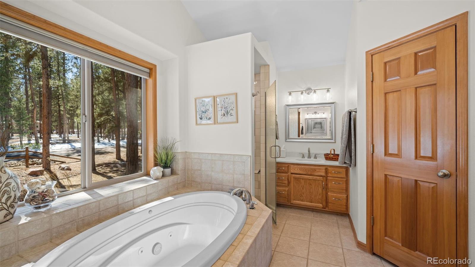 MLS Image #8 for 1230  woodland valley ranch drive,woodland park, Colorado