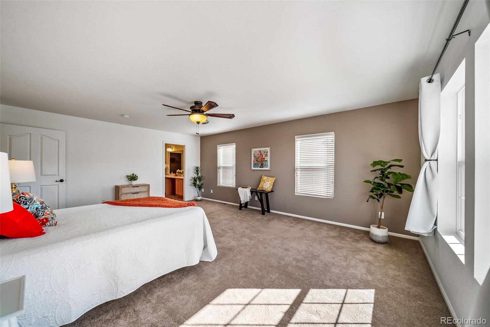 MLS Image #26 for 1734  quartz street,castle rock, Colorado