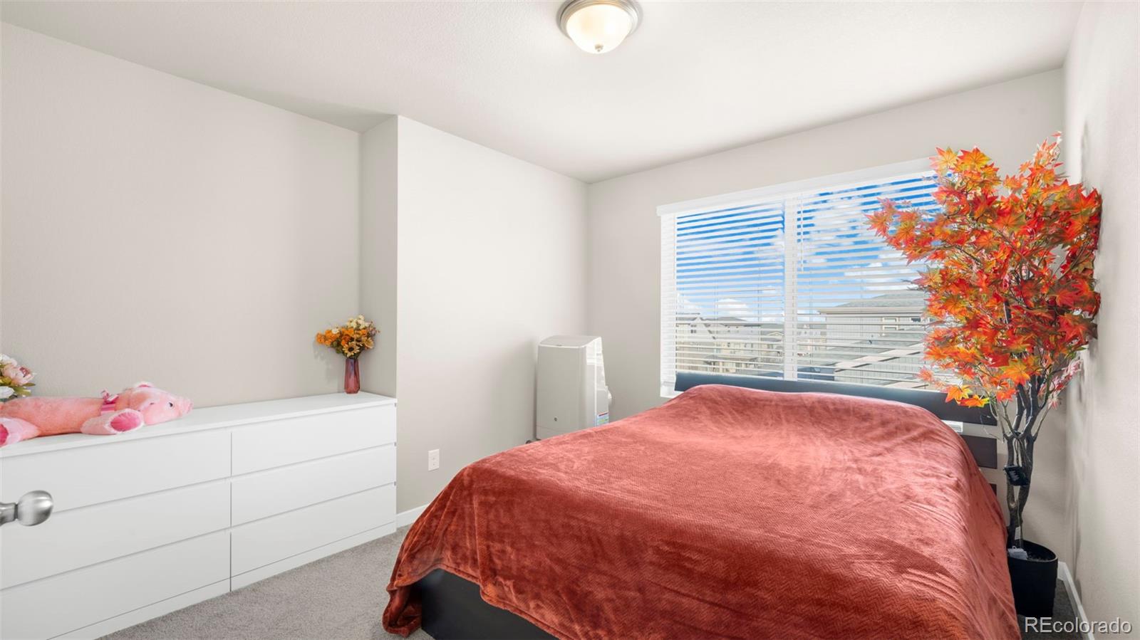 MLS Image #14 for 9636  timberlake loop,colorado springs, Colorado