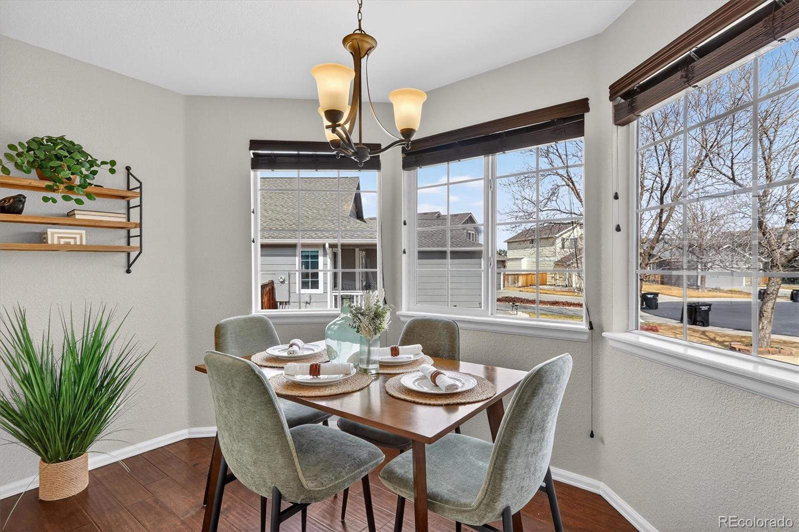 MLS Image #11 for 18256  kinney creek way,parker, Colorado