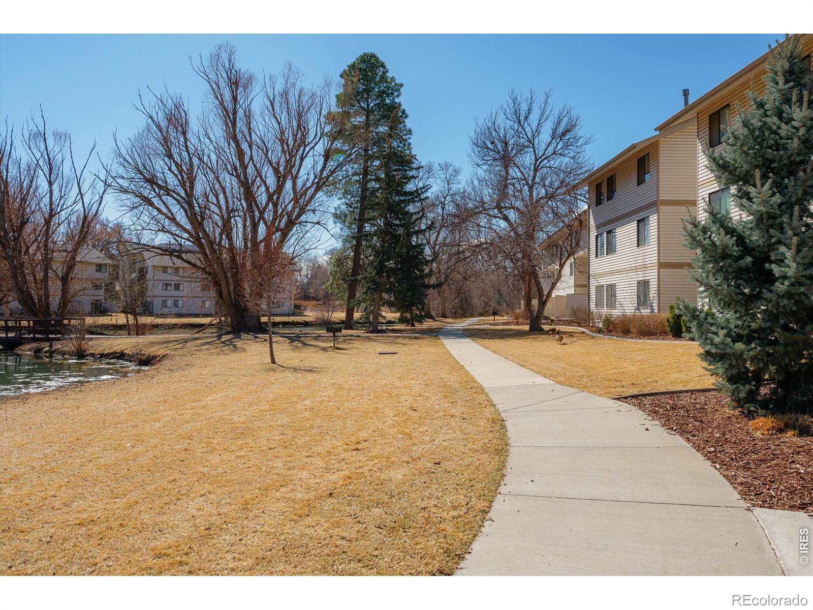 MLS Image #32 for 1705  heatheridge road,fort collins, Colorado