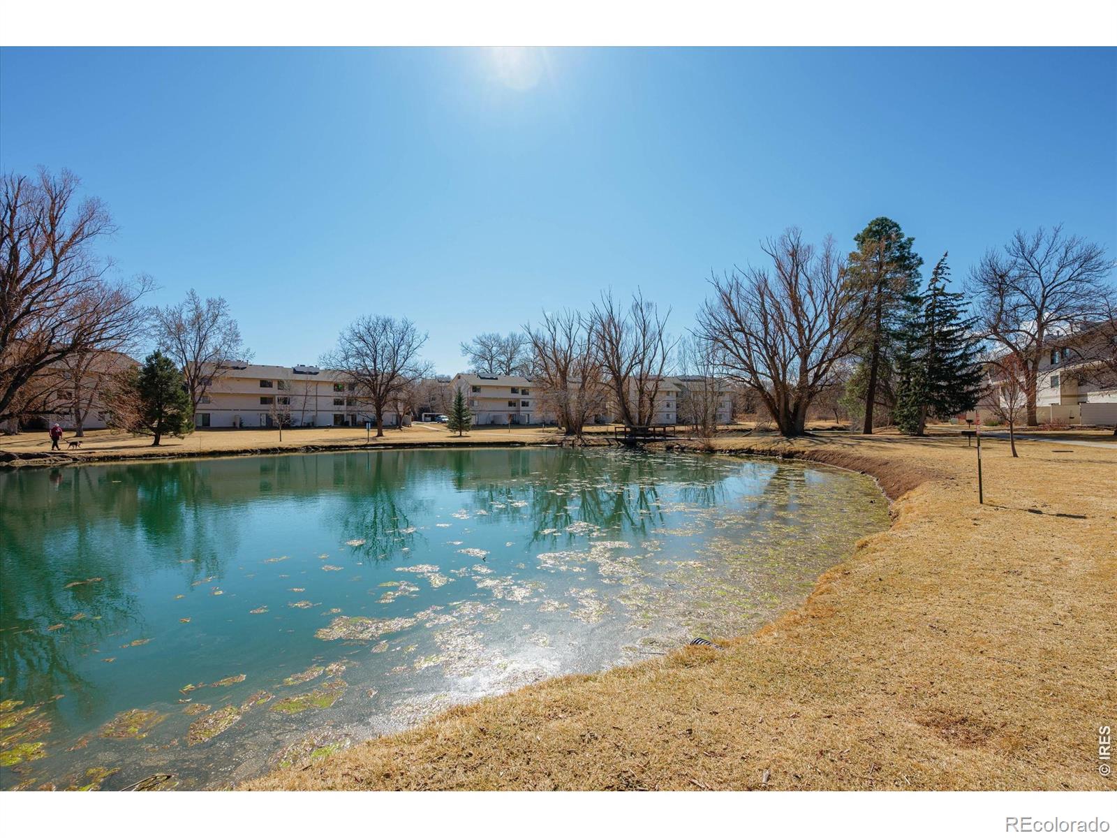 MLS Image #33 for 1705  heatheridge road,fort collins, Colorado