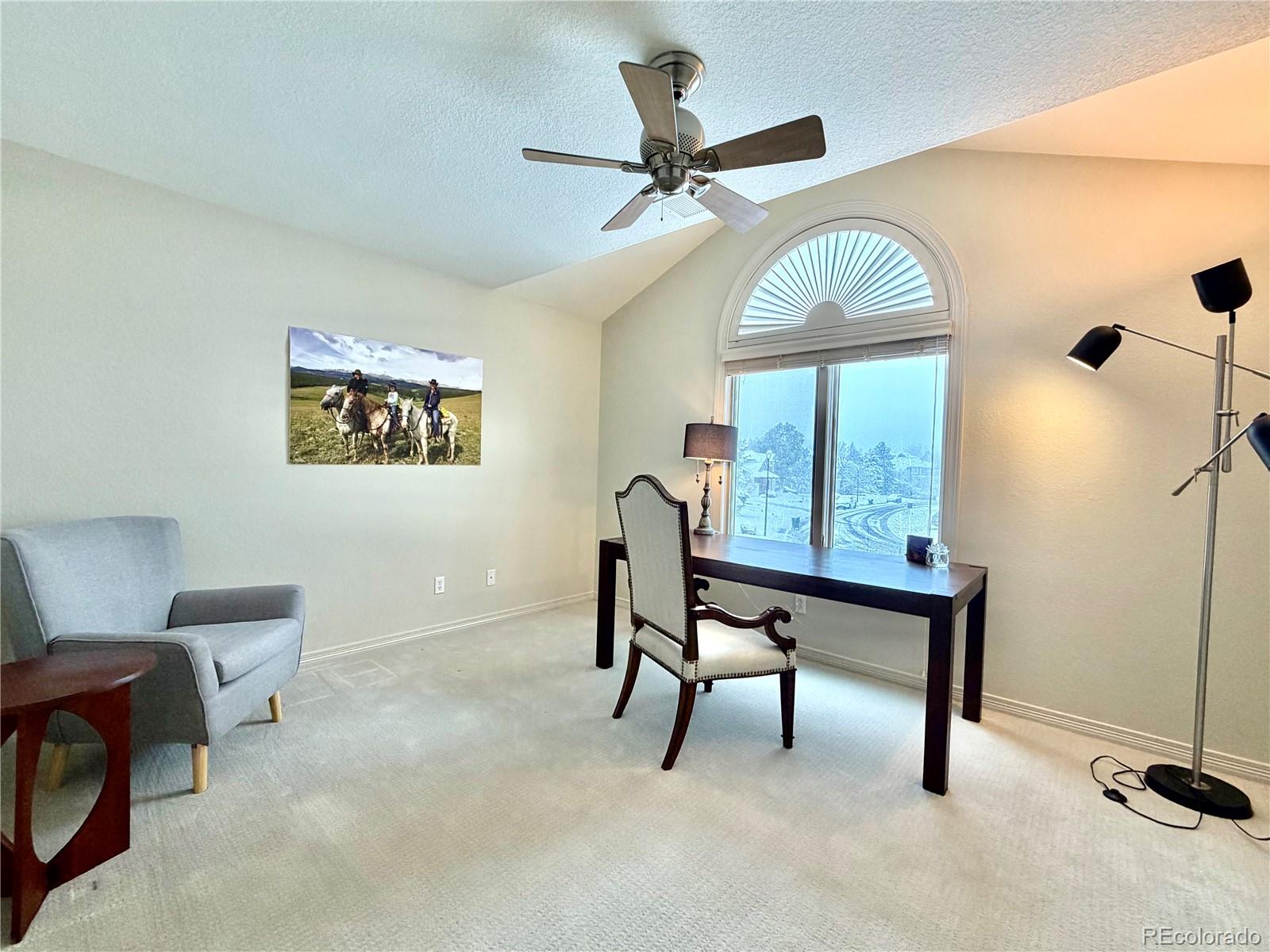 MLS Image #18 for 9108  buck hill drive,highlands ranch, Colorado