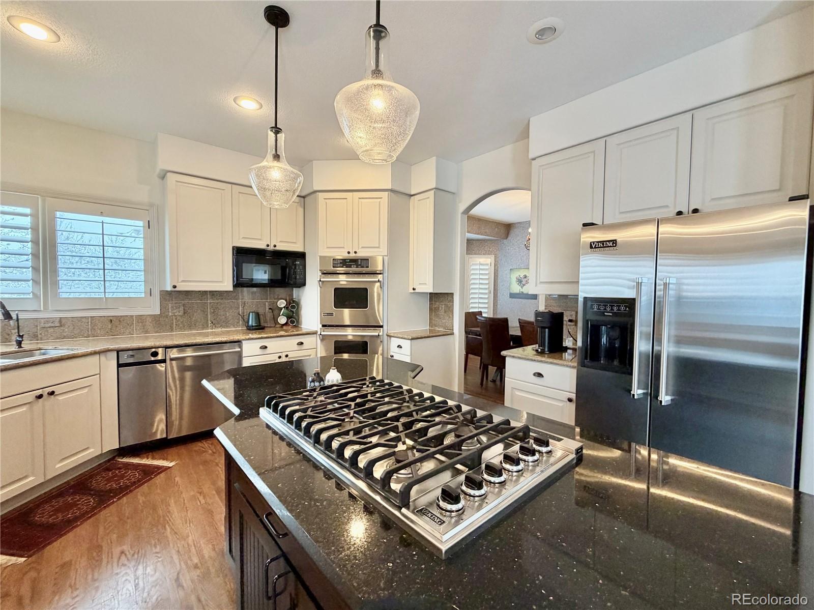 MLS Image #21 for 9108  buck hill drive,highlands ranch, Colorado