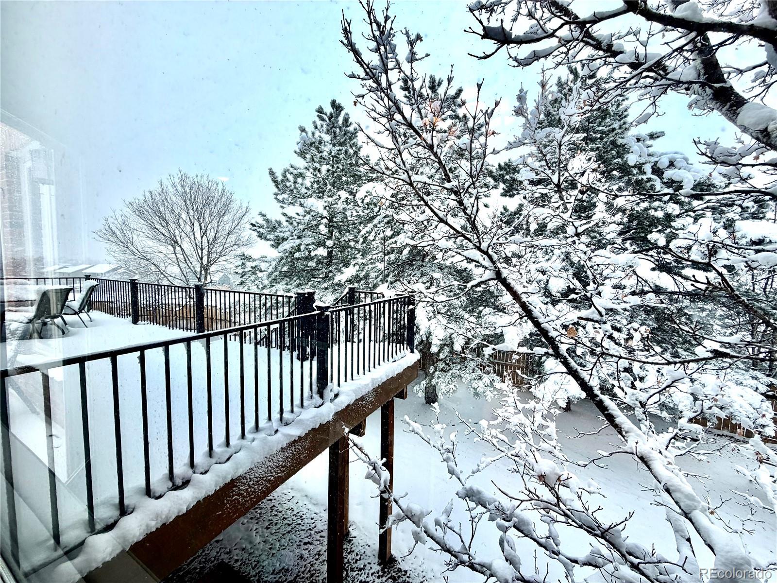 MLS Image #28 for 9108  buck hill drive,highlands ranch, Colorado