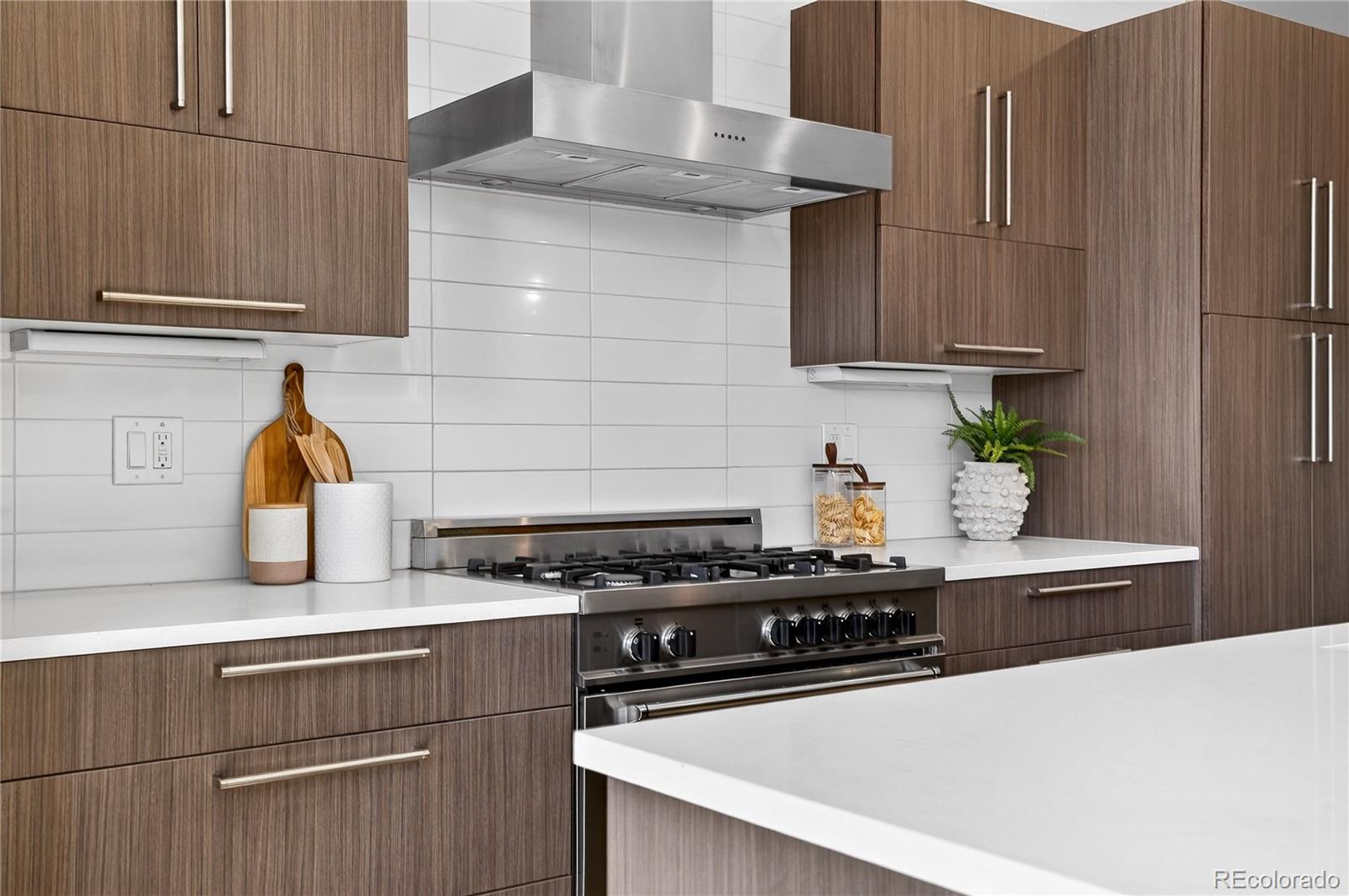 MLS Image #13 for 3636 w 26th avenue,denver, Colorado