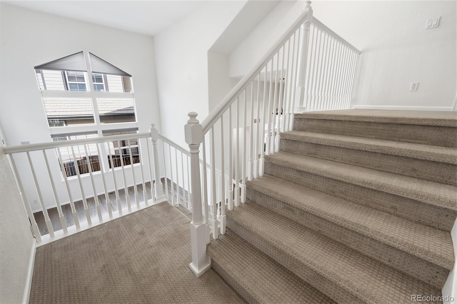 MLS Image #32 for 10613  briarglen circle,highlands ranch, Colorado