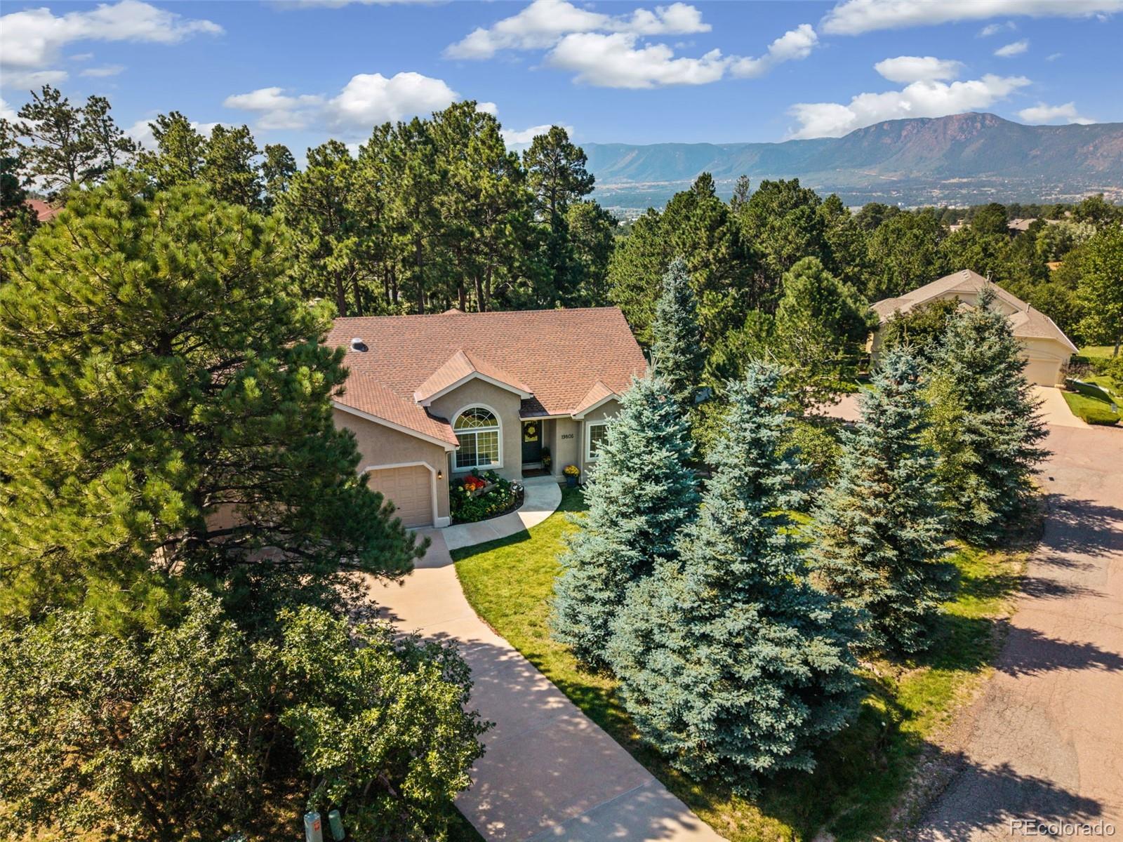 MLS Image #46 for 19805  chisholm trail,monument, Colorado