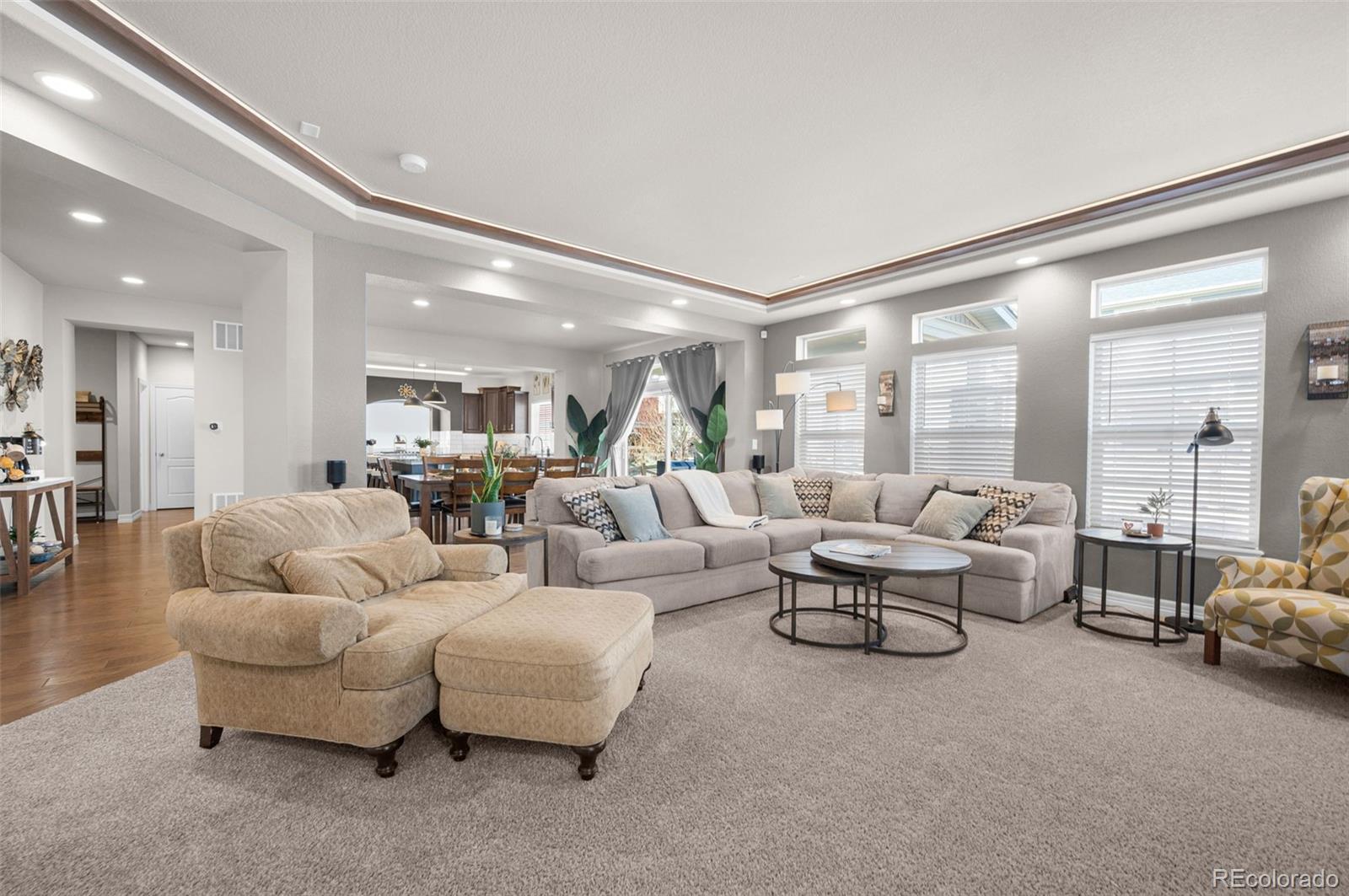 MLS Image #5 for 7052  bramble bluff court,colorado springs, Colorado