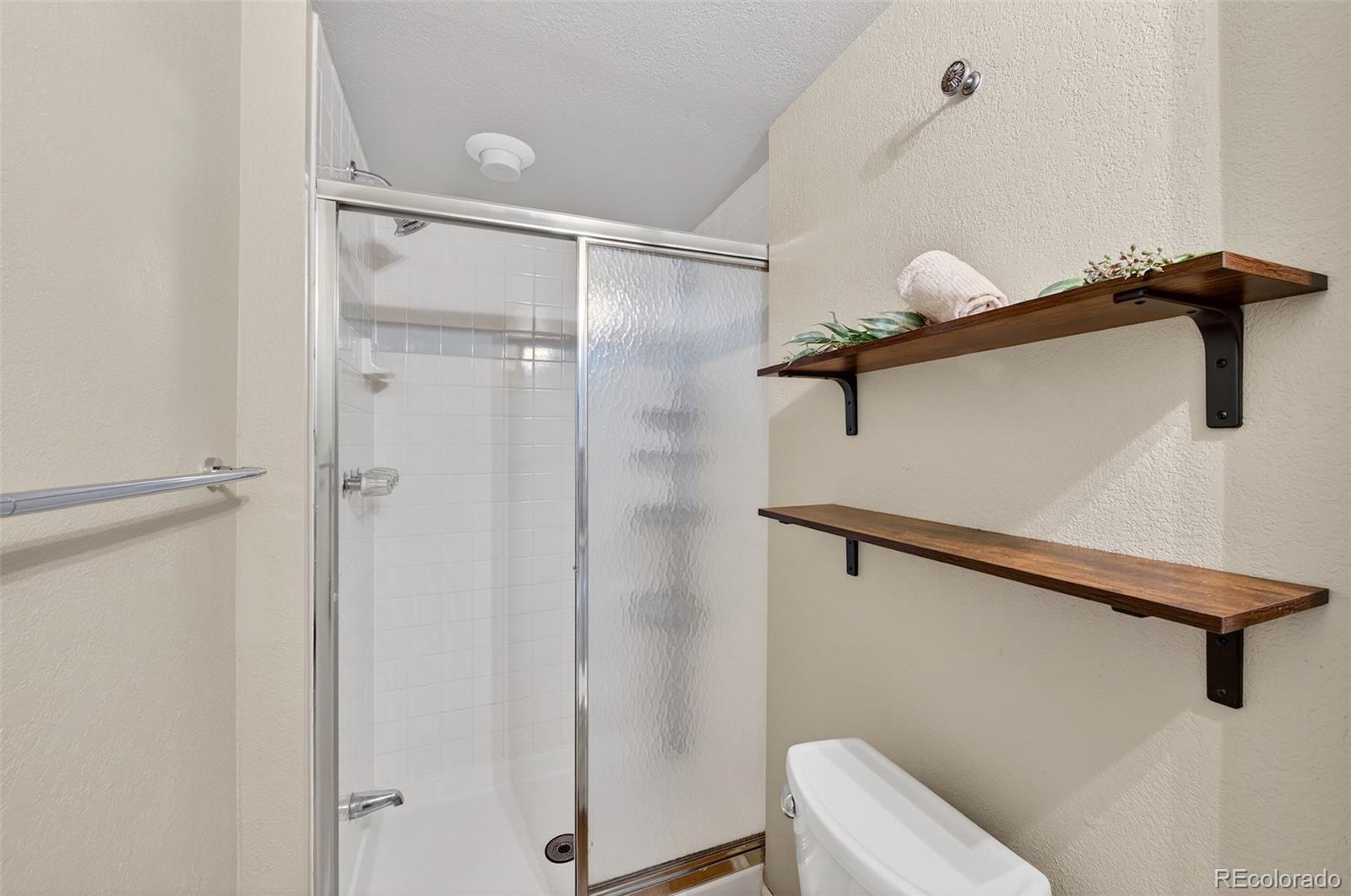 MLS Image #47 for 10  red locust ,littleton, Colorado