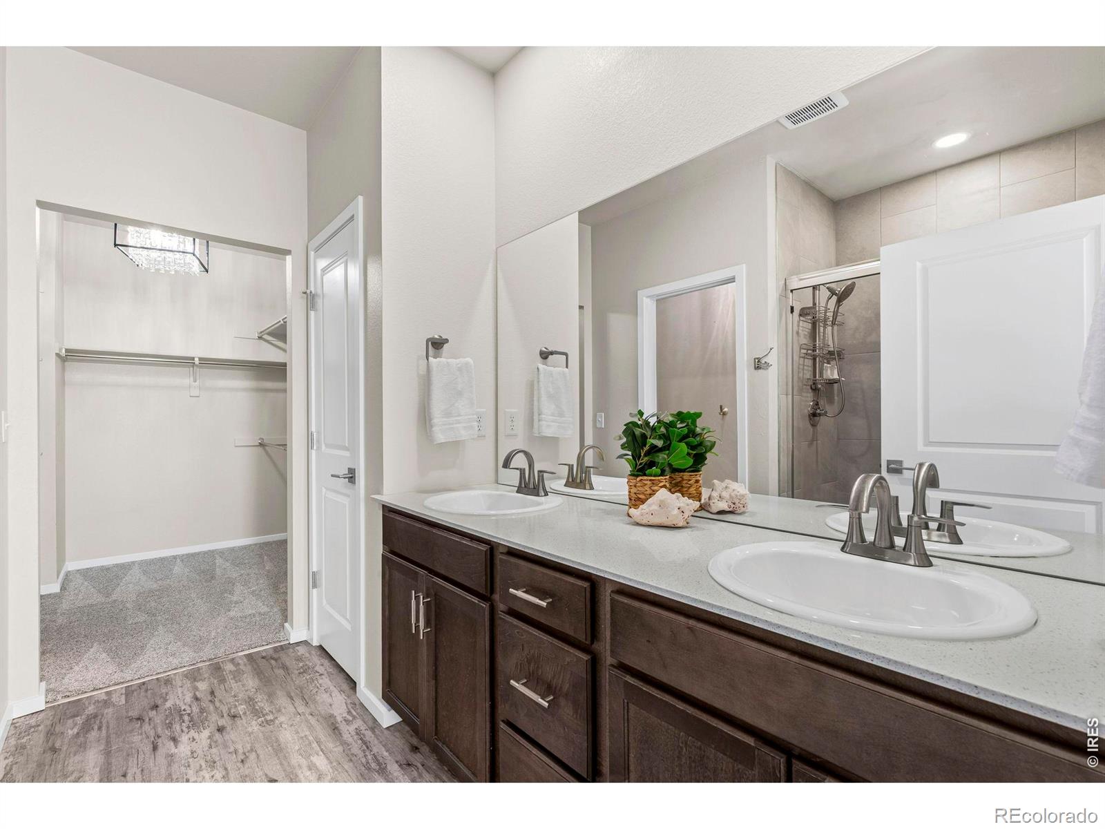MLS Image #11 for 5779  bourgmont court,timnath, Colorado