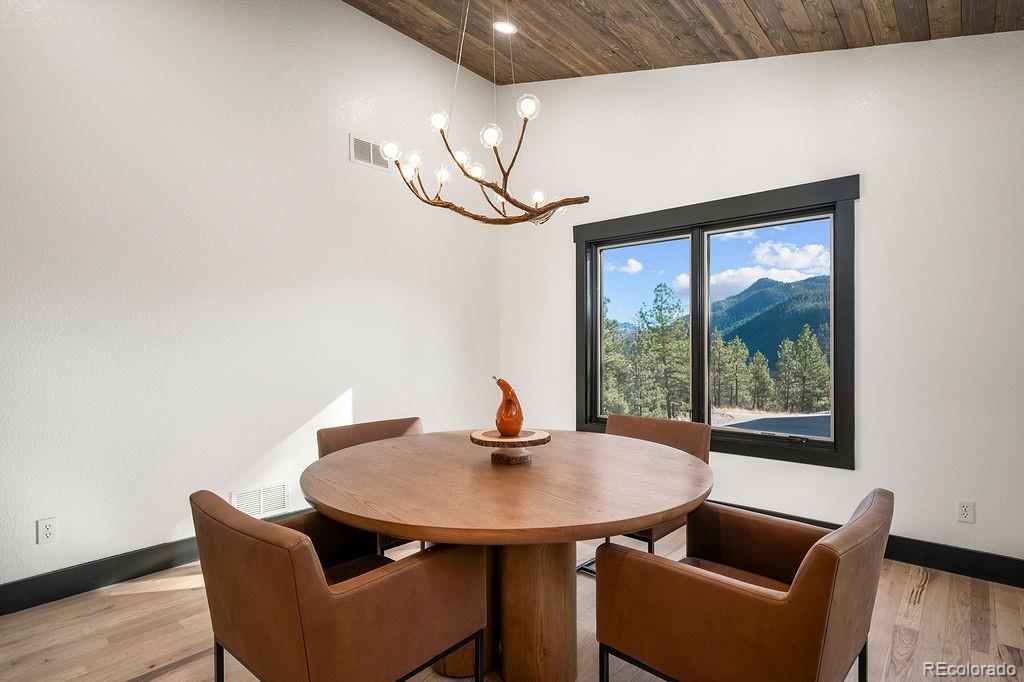 MLS Image #9 for 16654 s 7th street,pine, Colorado
