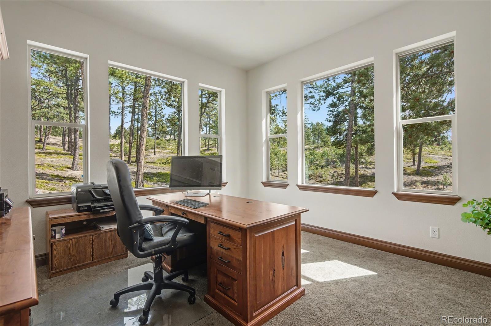 MLS Image #27 for 4255  foxchase way,colorado springs, Colorado