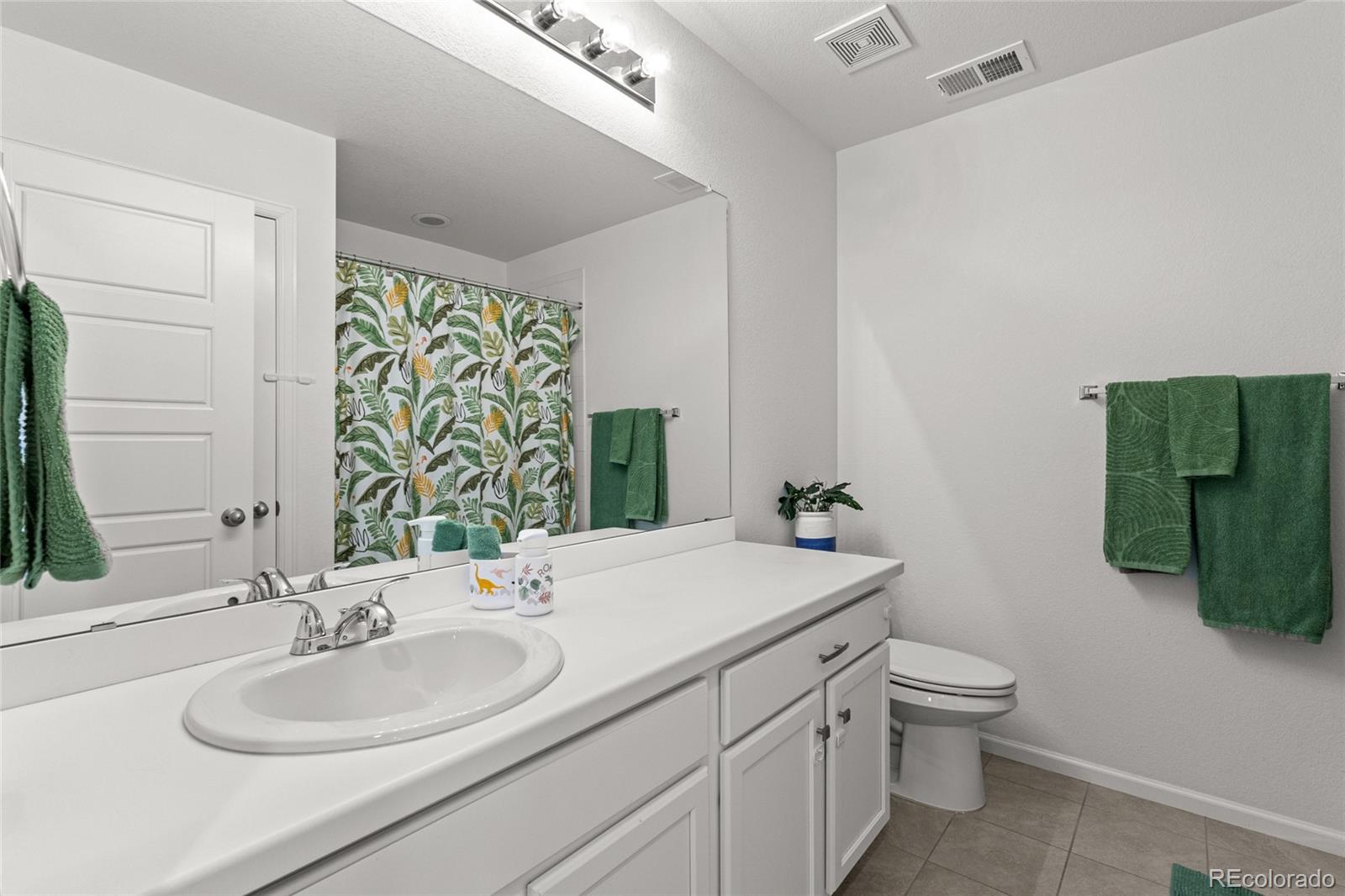 MLS Image #20 for 6278  leilani lane,castle rock, Colorado