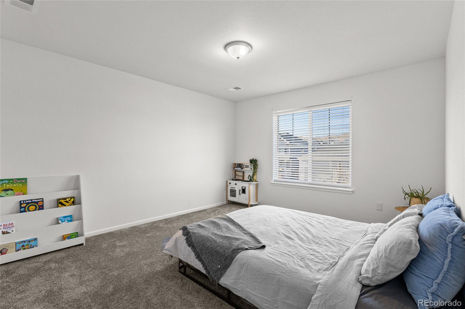 MLS Image #21 for 6278  leilani lane,castle rock, Colorado