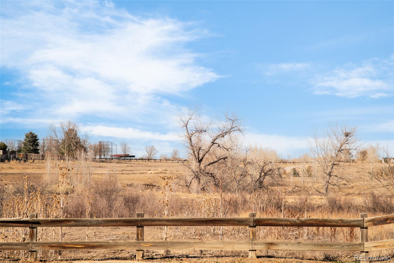 MLS Image #38 for 11736  fenton street,westminster, Colorado