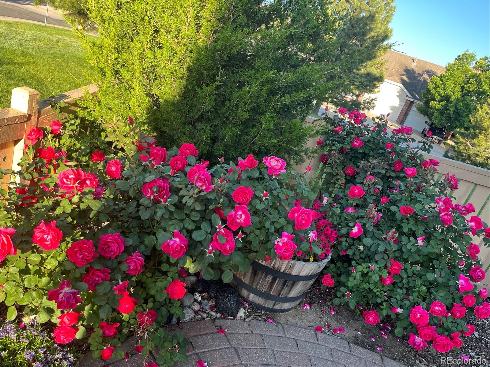 MLS Image #42 for 2825  masters lane,castle rock, Colorado