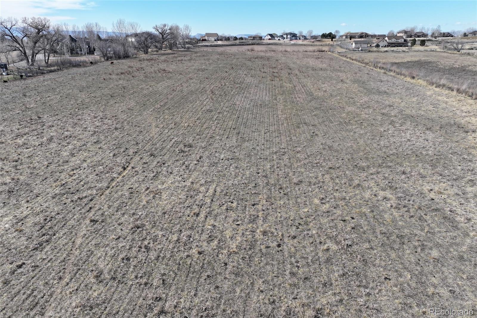 MLS Image #28 for 1403  19 road,fruita, Colorado