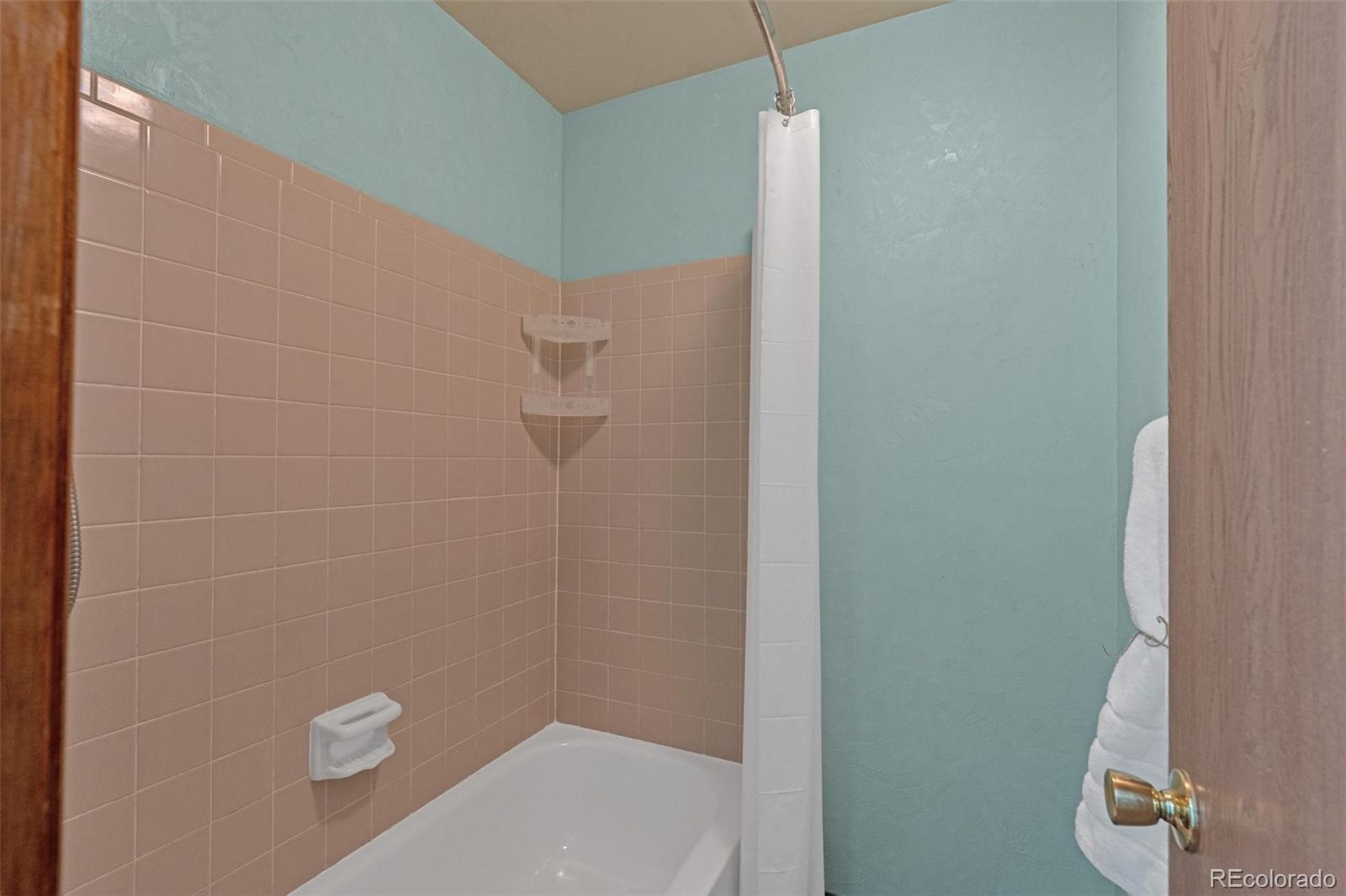 MLS Image #22 for 4320  genoa street,denver, Colorado