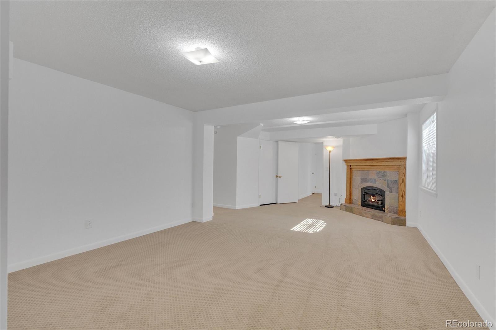 MLS Image #8 for 4320  genoa street,denver, Colorado