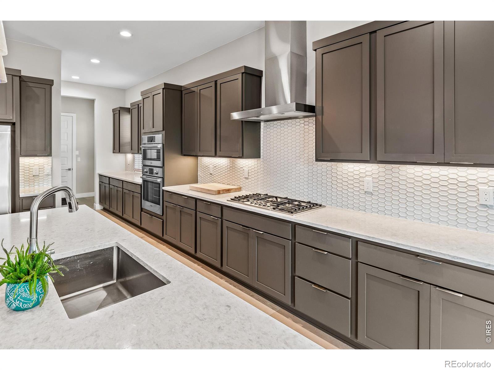 MLS Image #12 for 1869  blossom grove drive,windsor, Colorado