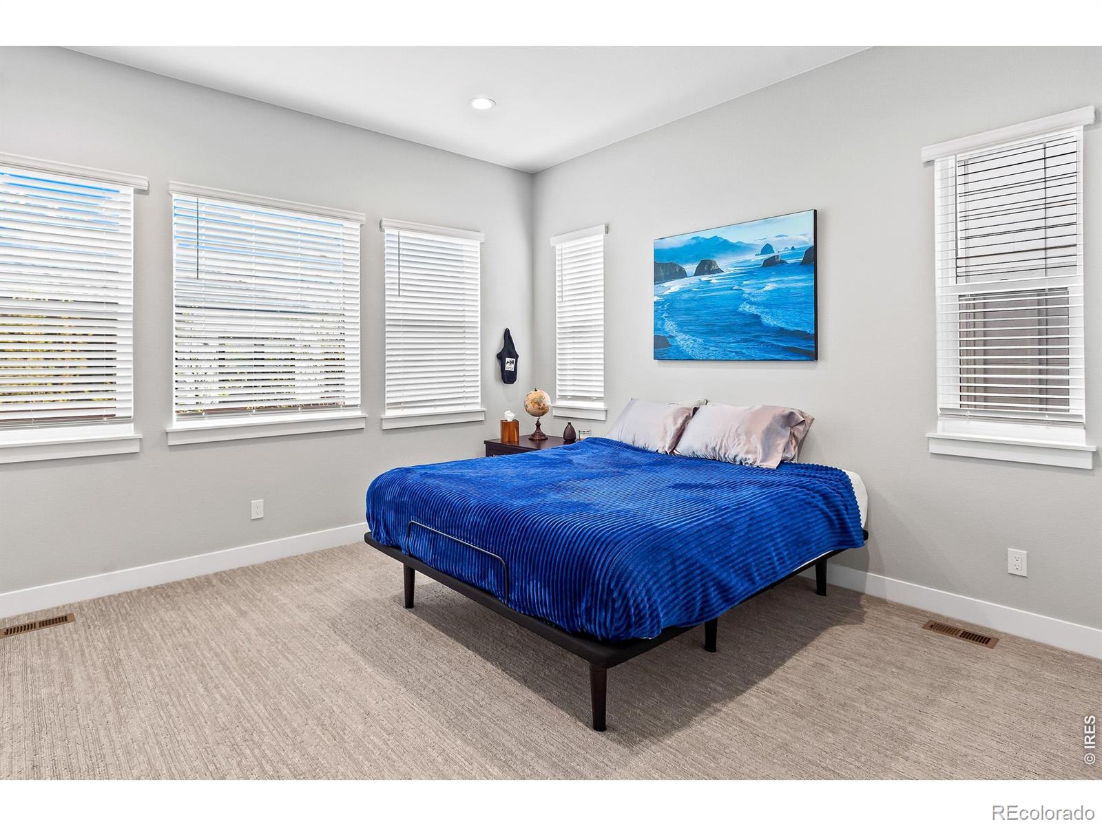 MLS Image #20 for 1869  blossom grove drive,windsor, Colorado