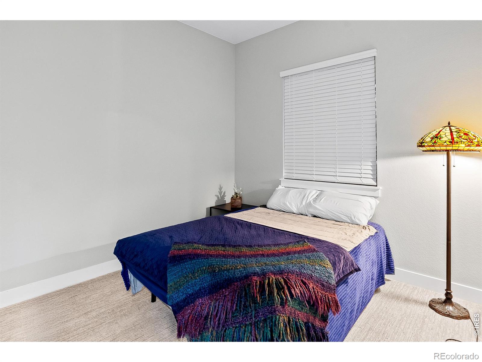 MLS Image #24 for 1869  blossom grove drive,windsor, Colorado