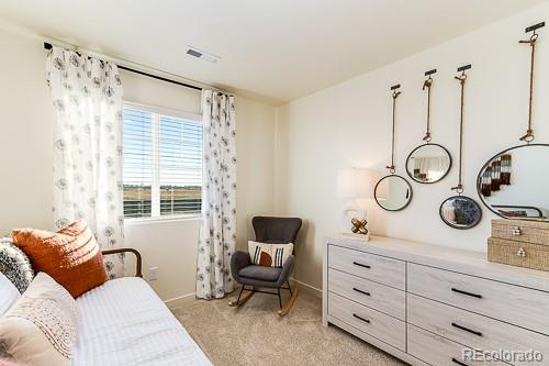 MLS Image #28 for 763  ayrshire road,johnstown, Colorado