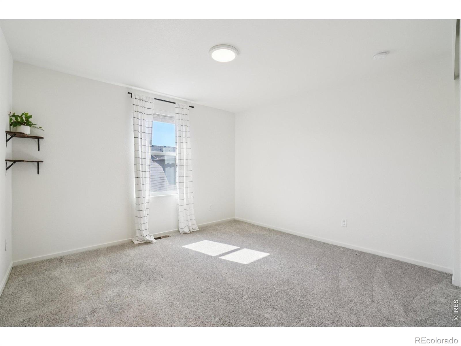 MLS Image #25 for 2951  coleman street,fort collins, Colorado