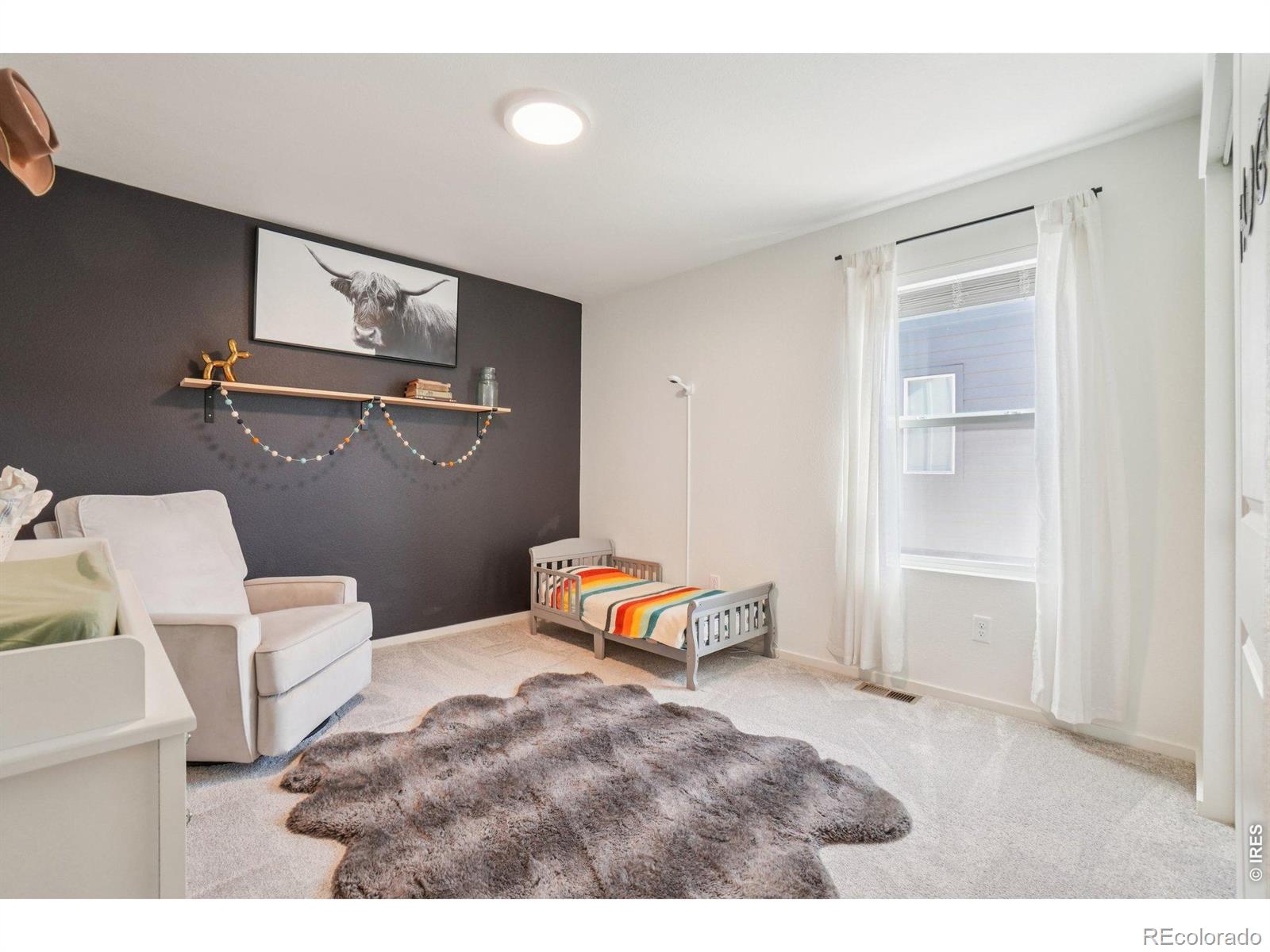 MLS Image #28 for 2951  coleman street,fort collins, Colorado