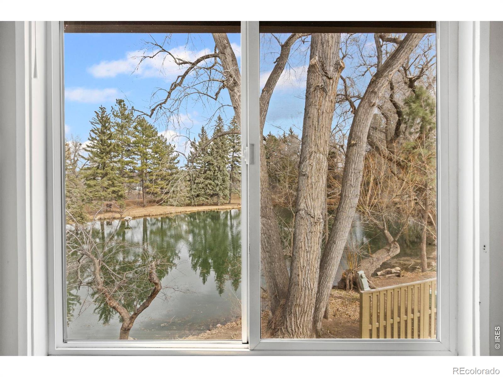 MLS Image #26 for 1901  waters edge street,fort collins, Colorado