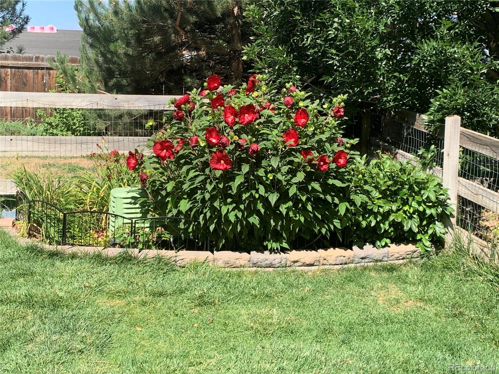 MLS Image #17 for 12741  ivanhoe street ,thornton, Colorado